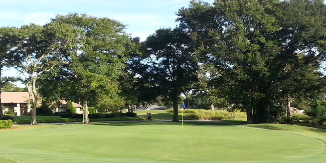 14th Green